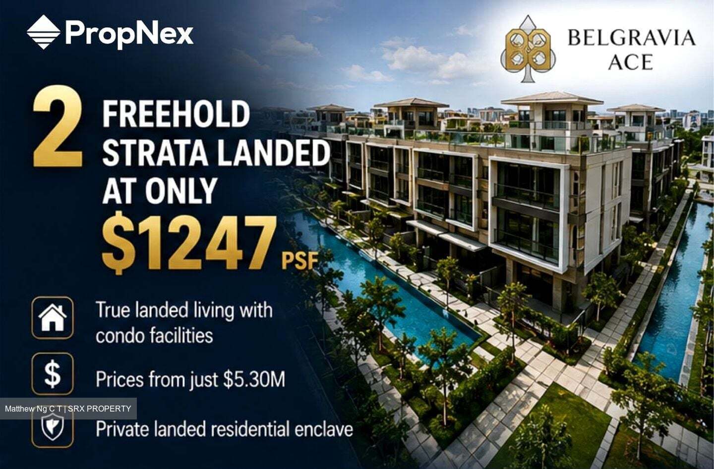 Belgravia Ace (D28), Terrace #609552311